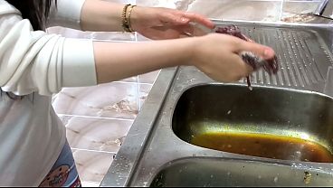 كفيل سعودي ينيك الخادمة المصرية من طيزها وهى بتتوسل وهو نازل فيها بقوة في غياب مرته